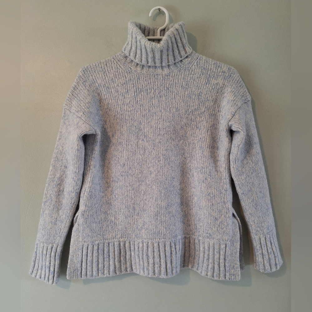 Everlane Cozy Blue Turtleneck Sweater - S